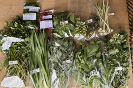 【新春福袋】春野菜セット 農薬不使用の野菜たちです。菜花などの春の葉物野菜を箱いっぱいにお入れしてお送りいたします