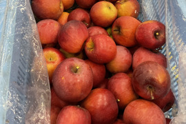 【ふるさと納税・定期便3ヶ月】🍎「スーパームーン」さんが厳選した旬のフルーツを楽しむ ＜長野県中野市＞