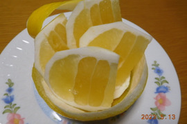 🍊 伊豆特産ﾆｭｰｻﾏｰｵﾚﾝｼﾞ（日向夏）　贈られて喜ばれる爽やかな初夏の味　! 　　風袋込み　　５．０㎏