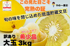 【完熟の証】低温貯蔵 土佐文旦 訳あり大玉3kg｜風味が際立つ食べ頃・日本ギフト大賞受賞・文旦発祥の地 ・高知県土佐市産 ・やの一果彩