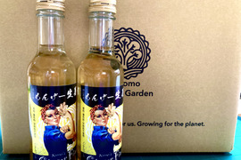 🌱もんげ〜生姜『ジンジャーフィズ』🌱Kocomo's Ginger Fizz (200ml x 6) 〜畑からの直送便〜