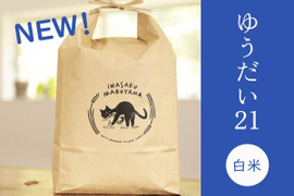 粘り旨味が段違い！金匠受賞農家の「ゆうだい21・白米5㎏」令和7年産・新潟米