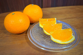 果汁たっぷり香り豊か！オーガニック清見オレンジ 2kg約8玉 (和歌山県産有機栽培フルーツ)