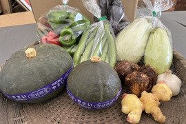 新鮮夏野菜セット 訳あり混おまかせたっぷり￥5,000分　栽培期間中農薬・化学肥料・動物性堆肥 不使用の安心安全で美味しい野菜を食卓へ！翡翠ナス　白ナス　島オクラ
