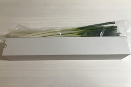 群馬県産長ネギ10本！取れたて！甘くて美味しい！