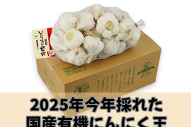【宮崎県産 有機にんにく】 2025年（令和7年度）今年採れた有機にんにく王（１㎏入)