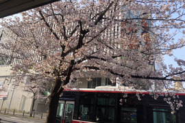 【新規のみ】4周年&祝🎊合格記念