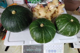 さくら様専用セット