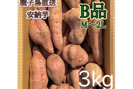 【絶品】種子島産安納芋 B品 中〜大サイズ 3kg(箱別)