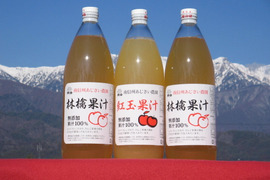 【ギフト】林檎果汁２本、紅玉果汁１本セット（１リットルビン×３本入り）無添加（長野県産りんごジュース）