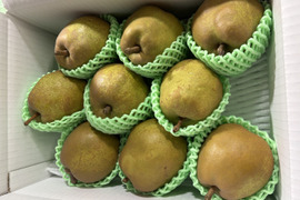 まるせい果樹園のラ･フランス　　3kg箱　玉数指定不可　nr1