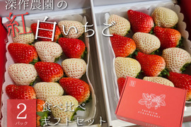 日本農業賞大賞受賞！6代100年続くいちご農家が作る、紅白いちご（苺・イチゴ）2パック【深作農園】ギフトにもピッタリ
