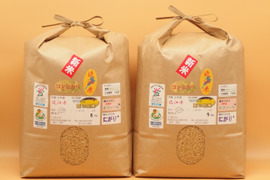 ✤令和4年産新米菜の花米✤玄米20kg☆近江米コシヒカリ☆環境こだわり米