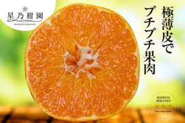 【星乃甘平】木成り完熟 愛媛産甘平 お得品 3.5kg