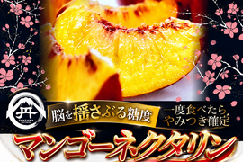 【マンゴーの濃厚な糖度×桃の爽やかな酸味】を掛け合わせた究極の完熟マンゴーネクタリンやみつきリピーター続出中！お試し約1kg3～4個お中元ギフト贈り物に！【朝どれ】高級ももを家庭用にも【8月上旬予約】