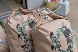 会津産　虹のきらめき　30キロ　（玄米）