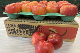 おやつ感覚で！？そのままぱくっと！甘くてジューシー！長野県シナノスイート小玉4.8㎏