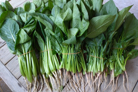 野菜嫌いでも食べられる【ほうれん草＆小松菜（各1kg）】《漢方栽培