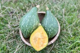 甘み濃厚！京都産ロロンかぼちゃ（2〜3玉 約3kg）