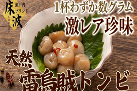 【酒飲み専用部位】🦑天然国産カミナリイカ『口先(トンビ)』長州床波ブランド海鮮部位指定キャンペーン数量限定☆お試し約100g【6月中旬予約】