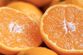 【訳ありだけど美味しさそのまま】愛媛みかん 2.5kg 愛媛県川上産