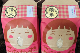 令和7年度産米《一等米》【食べ比べ】安心の低農薬栽培【ななつぼし】【ゆめぴりか】美味しさに定評有り！各２kg（玄米）