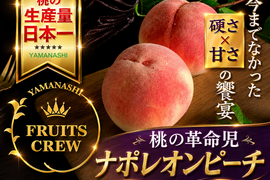 【日テレニノさん話題沸騰】シャキ桃『幻のナポレオンピーチ』今回逃すと1年待ちの最高級希少桃！【夏ギフト】硬さ×甘さの饗宴今までの桃の常識を覆す革命児！約1.5キロ【朝どれ】【贈答用】🍑8月中旬予約🍑