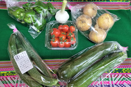 ミニ夏野菜セット☆ひとり暮らしサイズ　60サイズ　数量限定