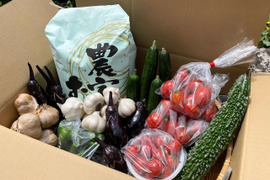 お米５kgとにんにく（白黒）＆季節野菜セット（旬枝豆）