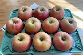 ムーンルージュ  ３キロ箱