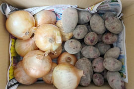 【お得な訳あり！8月末まで】グラウンドペチカ&奥州タマネギ (5kg)