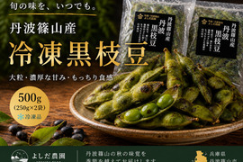 丹波篠山 冷凍黒枝豆 冷凍枝豆 丹波 黒豆 250g × 2 丹波篠山産 黒枝豆 枝豆 500g 丹波 枝豆 もっちり 黒大豆 大粒 波部黒 丹波黒 高級 黒大豆枝豆 さや 本場 先行予約