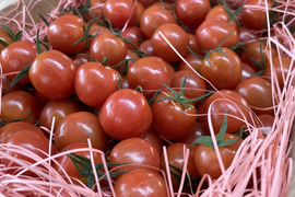 Ⓢ600g ～春夏秋冬～秋のトマトも楽しみましょう！プチぷよ《夏秋の陣》