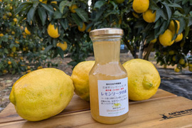 日本平ソーラーレモン®璃の香とレモンソーダの素セット『静岡県産』