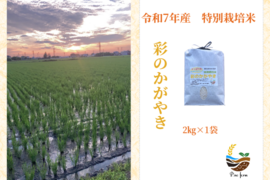 R7年産特別栽培米　彩のかがやき　2㎏