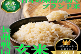【一度は食べたい“日本全国No.1米”】全国誌に選ばれた伝統米農家🌾百年の系譜を継ぐ名門長州植村総本家が生み出す『長州戦国玄米』約5㎏【11月下旬新米予約】