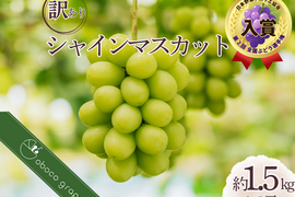 【第２回全国ぶどう選手権入賞園】訳アリ『シャインマスカット』（ご家庭用２～５房/合計約１.５kg）