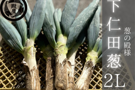 殿様も愛した「下仁田葱」2Lサイズ12本