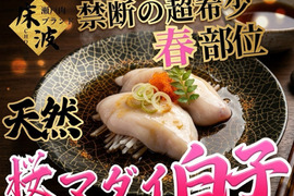 【一般市場に出回らない】食通が黙る超希少天然国産幻の『桜真鯛大トロ白子』初登場🐟長州床波ブランド数量極少約200g【4月中旬予約】