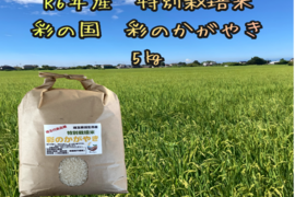 R5年産☆埼玉県産☆特別栽培米彩のかがやき　10㎏