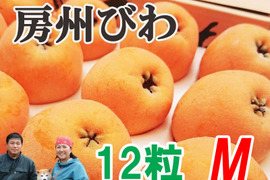 6月上旬～中旬発送『房州びわ/枇杷 Mサイズ12個入り』南房総市産の大実の枇杷を農家から