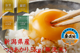 「お米グランプリ2025   4部門受賞🏆」新潟県産　つきあかり  5キロ  無洗米  令和7年産　新米　お米　(215)