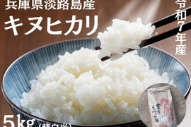 【JA大阪北陸産 】 令和6年産 キヌヒカリ100% 10kg (5kg✖️2) JA大阪北陸産 】 令和6年産 キヌヒカリ100% 10kg (5kg✖️2