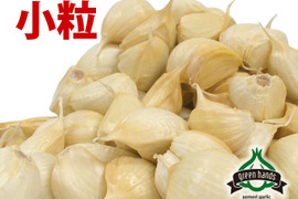 青森県産 小粒 にんにく バラ 500g  ホワイト六片 数量限定