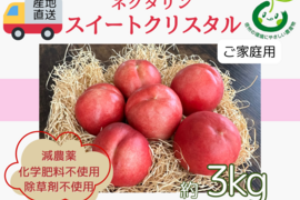 生産農家直送 ネクタリン スイートクリスタル ご家庭用 3kg 長野県産 化学肥料不使用 除草剤不使用 人にやさしく環境にもやさしい農産物