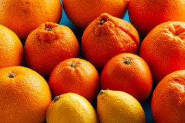 【柑橘食べ比べセット】約5㎏ 広島県産 柑橘3種以上の詰め合わせ