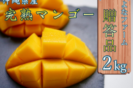 【2022年順次発送】沖縄県産完熟マンゴー2kg(贈答用)よなファーム八重瀬