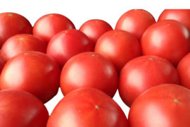 今が旬!!４月末まで!!熊本県八代産 「Red i～紅～」お試しB級品１kg