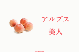 【数量限定】アルプス美人｜南アルプス生まれの気品あふれる希少桃　約2kg 約5~6玉