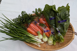 博多の夏野菜セット　7品